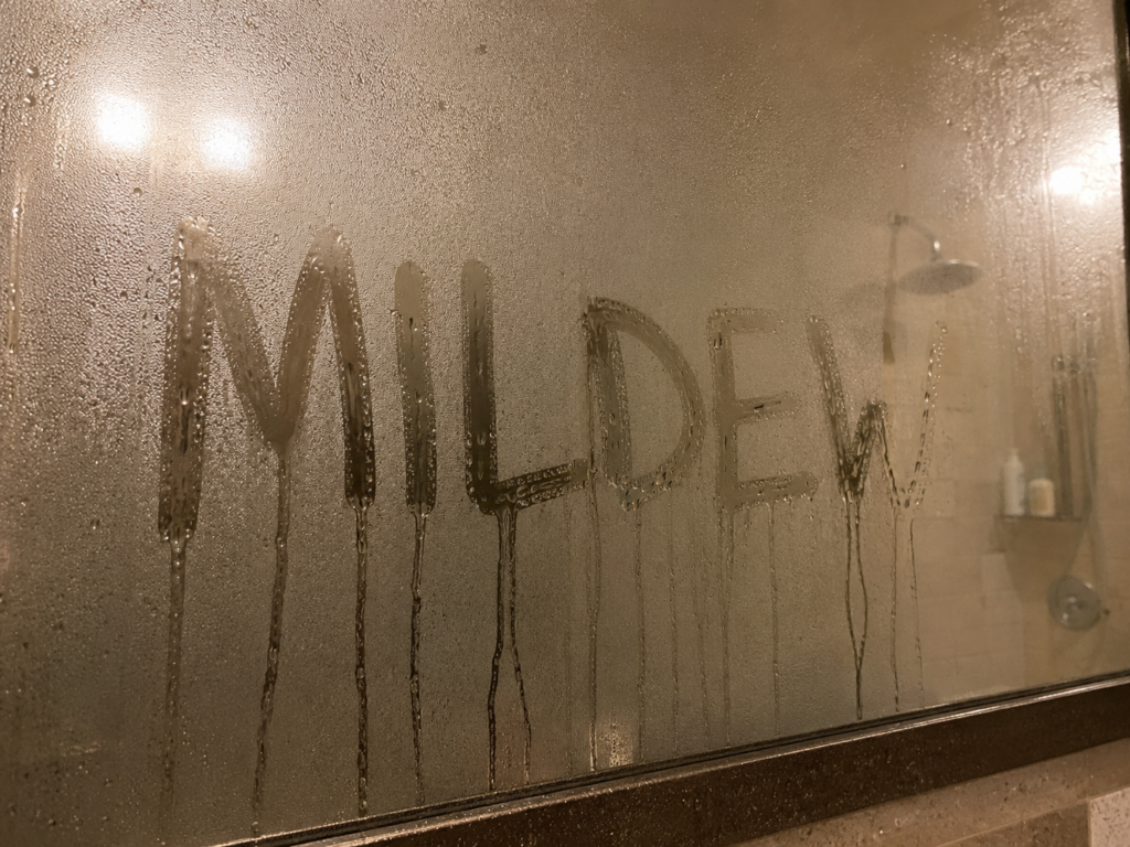 Steamy Mirror with the word Mildew writing on it
